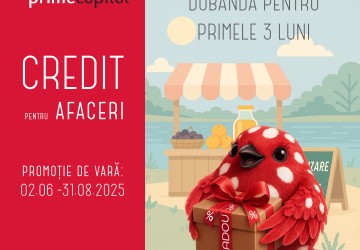 LA CREDITUL PENTRU AFACERI PRIMEȘTI DOBÂNDA CADOU, LA PRIMELE 3 LUNI